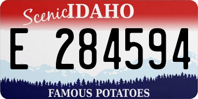 ID license plate E284594