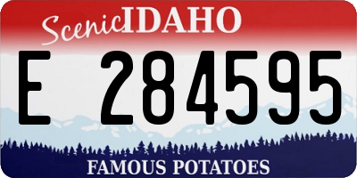 ID license plate E284595