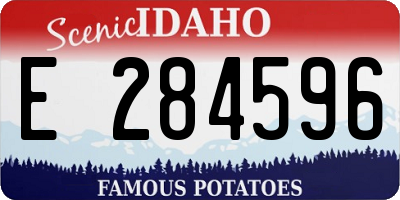 ID license plate E284596