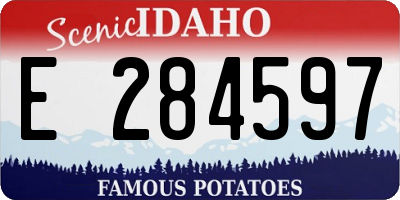 ID license plate E284597