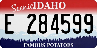 ID license plate E284599