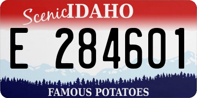ID license plate E284601