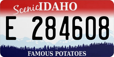 ID license plate E284608