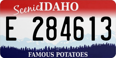 ID license plate E284613