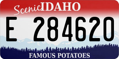 ID license plate E284620