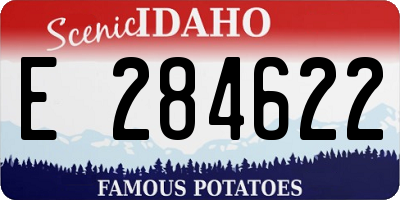 ID license plate E284622
