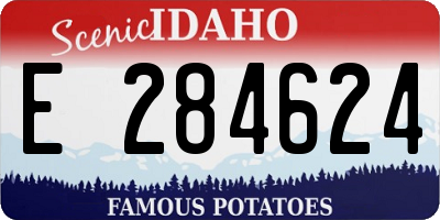 ID license plate E284624