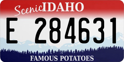 ID license plate E284631