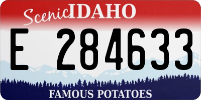 ID license plate E284633