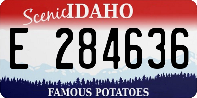 ID license plate E284636