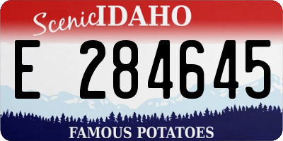 ID license plate E284645