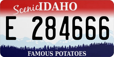 ID license plate E284666