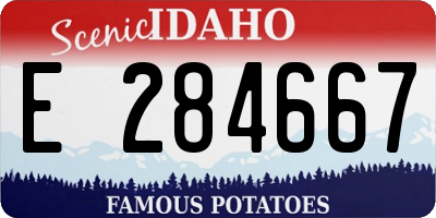 ID license plate E284667