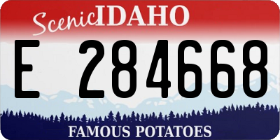 ID license plate E284668