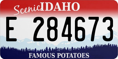ID license plate E284673