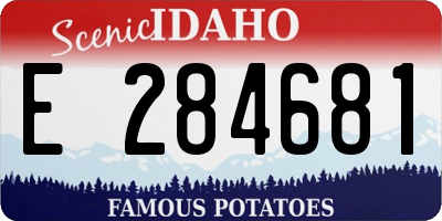 ID license plate E284681