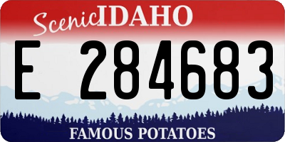 ID license plate E284683