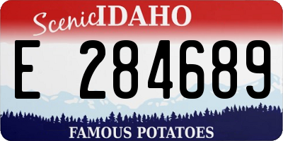 ID license plate E284689