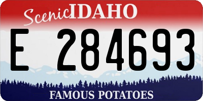 ID license plate E284693