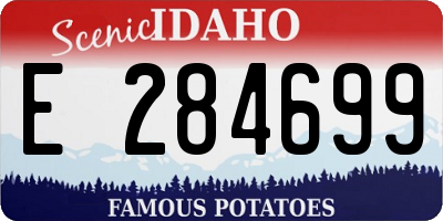 ID license plate E284699