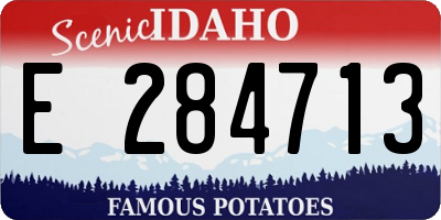 ID license plate E284713