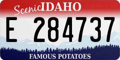 ID license plate E284737