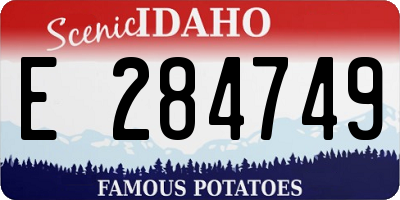 ID license plate E284749