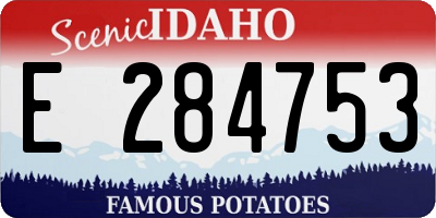 ID license plate E284753