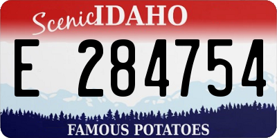 ID license plate E284754