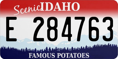 ID license plate E284763