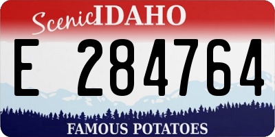 ID license plate E284764