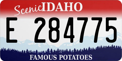 ID license plate E284775