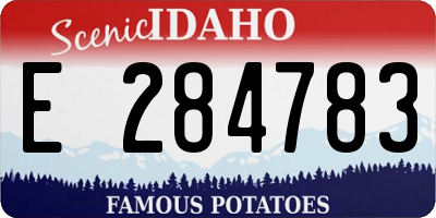 ID license plate E284783