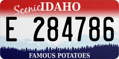 ID license plate E284786