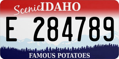 ID license plate E284789