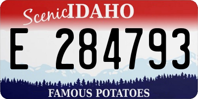 ID license plate E284793