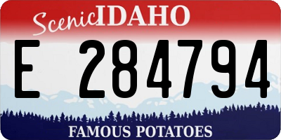 ID license plate E284794