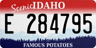ID license plate E284795