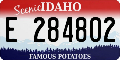 ID license plate E284802