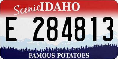 ID license plate E284813