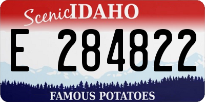 ID license plate E284822