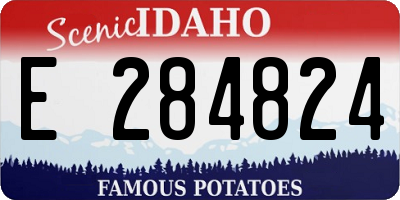 ID license plate E284824