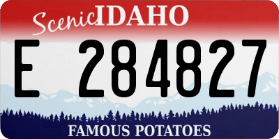 ID license plate E284827