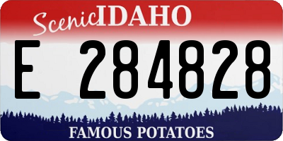 ID license plate E284828