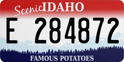ID license plate E284872