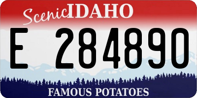 ID license plate E284890