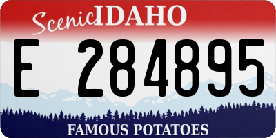 ID license plate E284895
