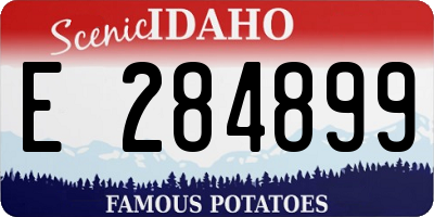 ID license plate E284899