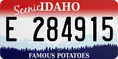 ID license plate E284915