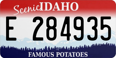 ID license plate E284935